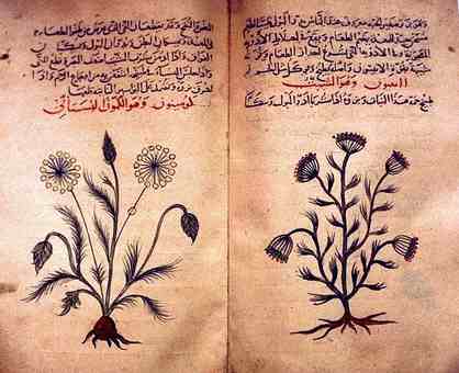 File:Arabic herbal medicine guidebook.jpg