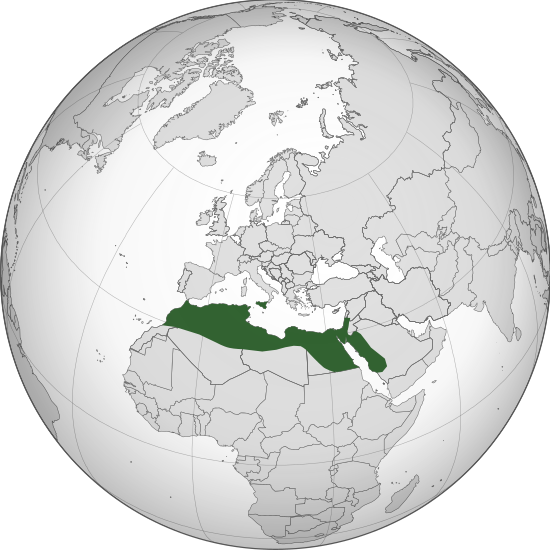 File:FatimidCaliphate969 (orthographic projection).svg