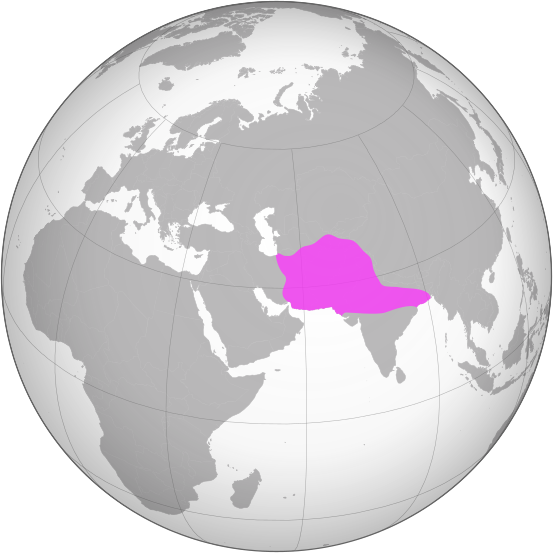 File:Ghurid dynasty (greatest extent).svg