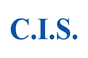 Flag of the CIS (UEFA Euro 1992).svg