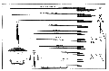 Thumbnail for version as of 20:35, 17 September 2026
