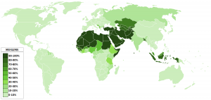 Muslim distribution.png