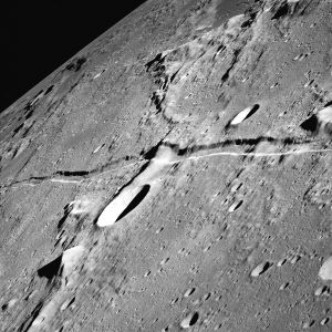 Rima Ariadaeus-1.jpg