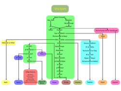 Branch of Shi'a Islam.png