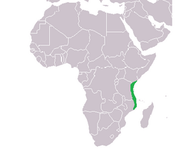 Swahili coast.png