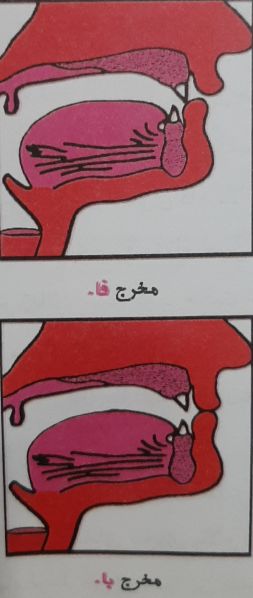 File:مخرج فاء و باء .jpg
