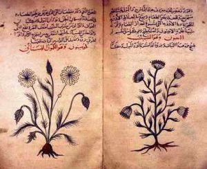 Arabic herbal medicine guidebook.jpg