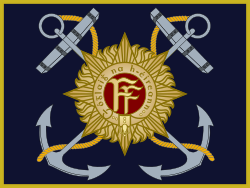 Irish Naval Service Colour.svg