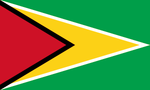 Flag of Guyana.svg