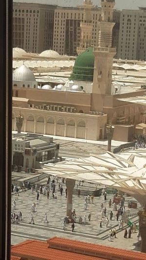 1007699036 8227407.jpg