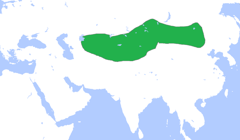 File:GökturksAD551-572.png