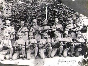 Constitutional forces in Tabriz.jpg