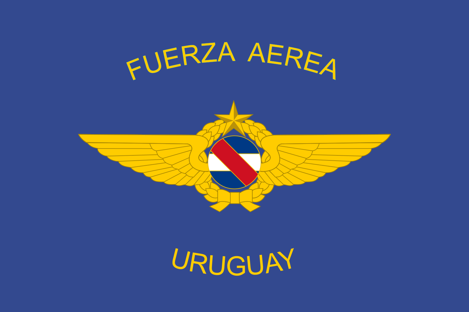 File:Flag of the Uruguayan Air Force.svg
